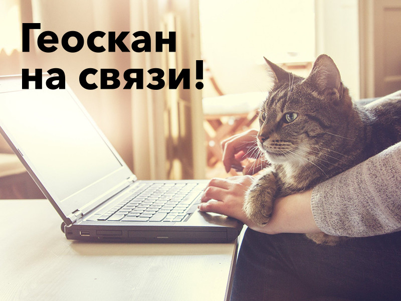Кот-центр Геоскан