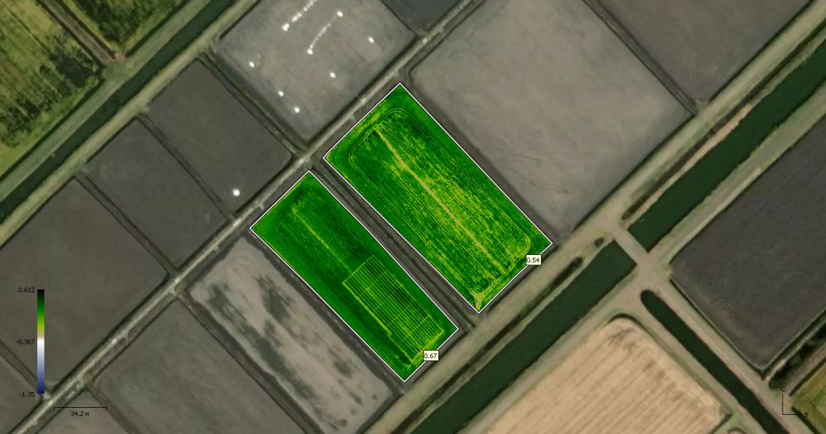 Методика определения проективного покрытия полей на основе дистанционного мониторинга