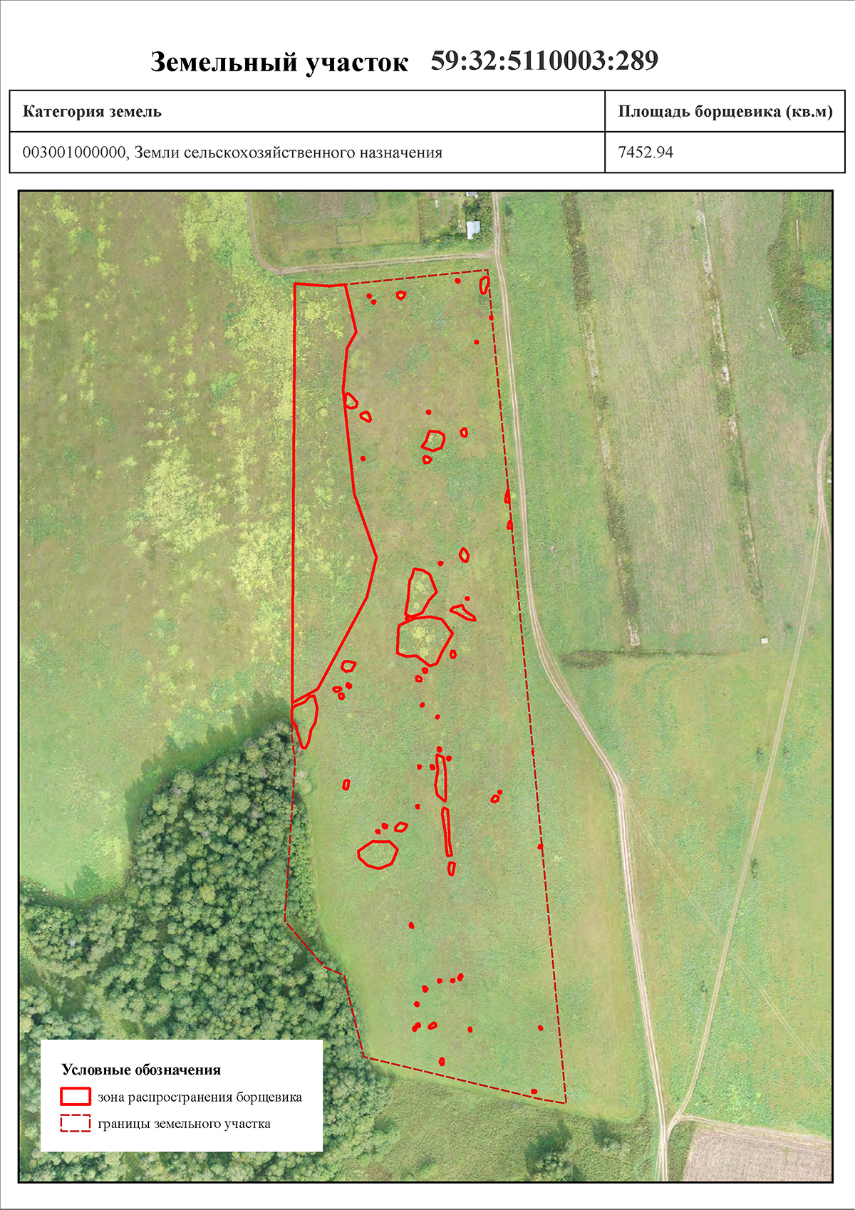 Технический отчёт