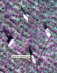 Аэрофотоснимок с БПЛА c мультиспектральной камеры 1