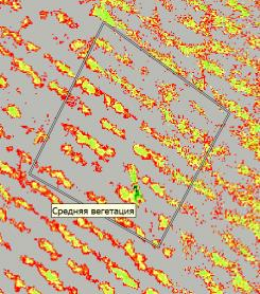 Фрагмент цифровой карты 1