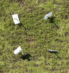 Аэрофотоснимок с БПЛА в формате RGB 2