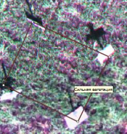 Аэрофотоснимок с БПЛА c мультиспектральной камеры 2