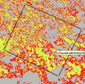 Фрагмент цифровой карты 2
