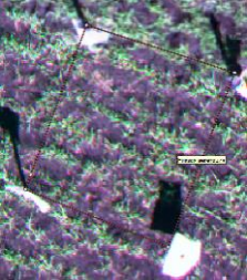 Аэрофотоснимок с БПЛА c мультиспектральной камеры 3