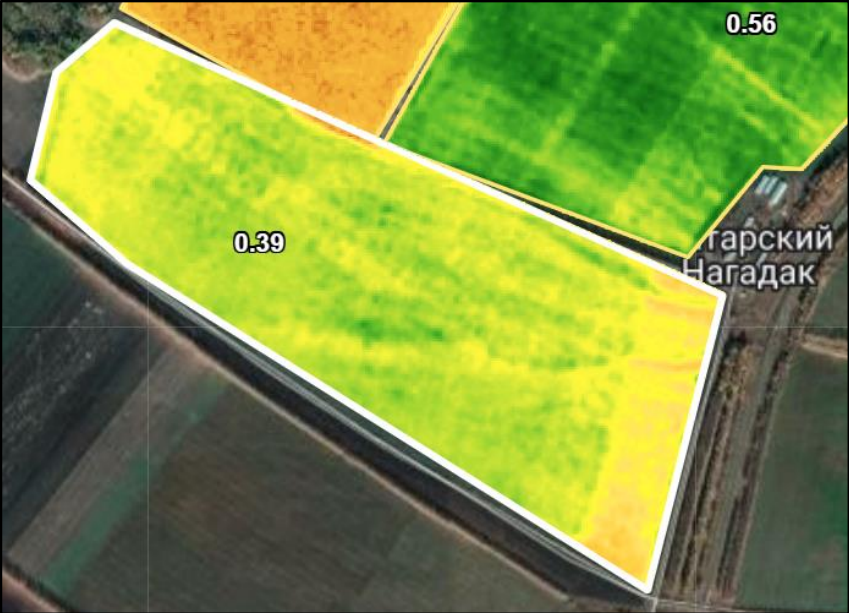 Рисунок 1. Спутниковый снимок поля озимой пшеницы со средним индексом NDVI = 0.39