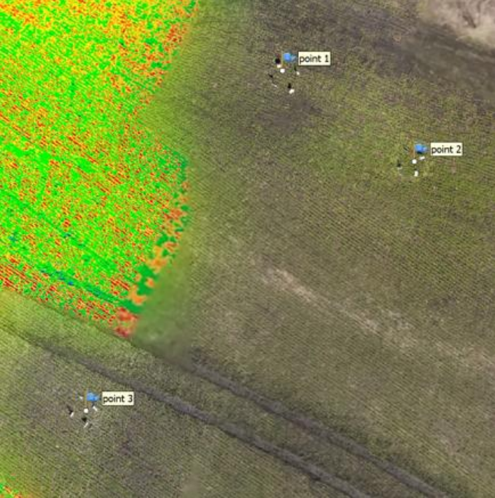 Рисунок 2. Аэрофотоснимок учетных площадей поля озимой пшеницы