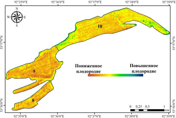 Рисунок 3. Карта пространственного распределения значений индекса плодородия полей № 8–10 по спутниковым данным Sentinel-2