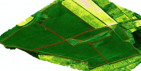 Ортофотоплан NDVI
